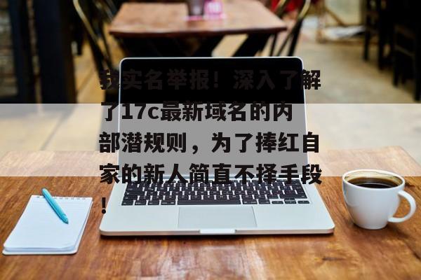 我实名举报！深入了解了17c最新域名的内部潜规则，为了捧红自家的新人简直不择手段！